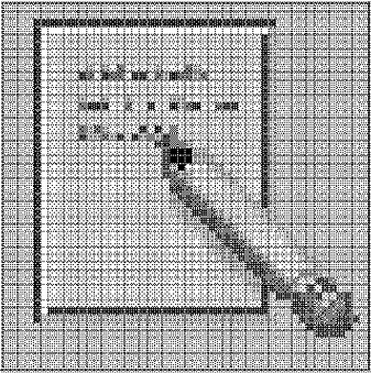 Graphic