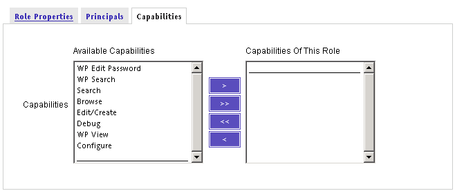 Use the Capabilities selection tool to specify resources that can be accessed by the new role.