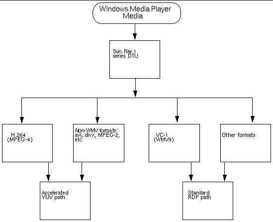 MPEG-2,4, avi, and divx are routed to accelerated YUV path; WMV9 and others to standard RDP path.