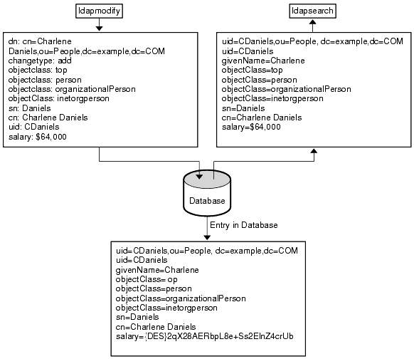 Attribute encryption showing attributes encrypted in the database but decrypted in the ldapsearch and ldapmodify queries