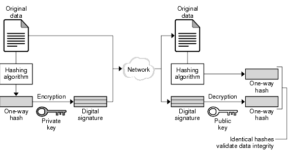 Digital signatures provide a high degree of nonrepudiation.