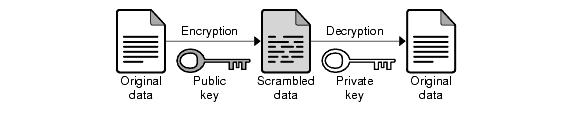 Public key encryption uses different keys to encode and to decode.