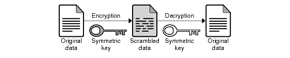 Symmetric key encryption uses the same key to encode and to decode.