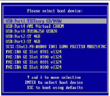 Graphic showing the Please Select Boot Device Menu screen.