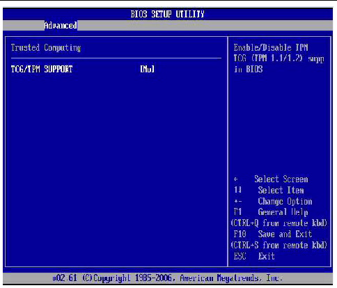 Trusted Computing Screen