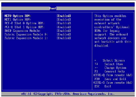 Figure showing BIOS boot options