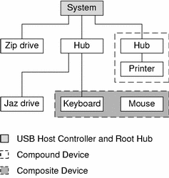 A Basic Guide to USB