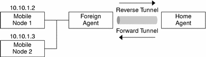 Illustrates the network topology of two privately addressed mobile nodes that use the same care-of address when registered to the same foreign agent.