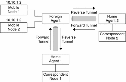 Illustrates the network topology of two privately addressed mobile nodes that reside on different foreign networks.