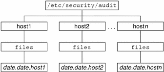 Diagram shows a default audit root directory whose top directory names are host names.