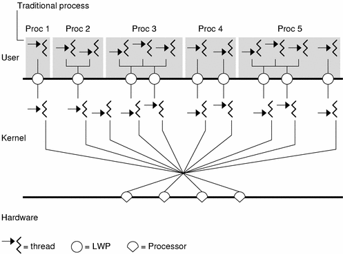 Diagram showing the relationship between lightweight processes and the user and kernel levels