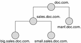 Diagram shows NIS+ hierarchy in doc.com domain