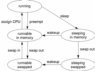  A running process can be preempted to memory, where it is runnable, or sleep in memory. A process in memory can be swapped.
