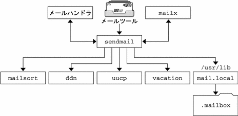 この図は、sendmail と SMTP、uucp、vacation、mail.local、mailx などとの対話を示しています。