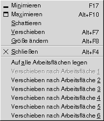 Fenstermenü. Menüpunkte: Auf Symbolgröße verkleinern, Maximieren, Schattieren, Verschieben, Größe ändern, Schließen, Auf allen Arbeitsflächen platzieren, Auf Arbeitsflächen Name verschieben.