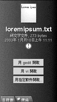 側邊窗格。包含：檔案圖示、檔案資訊、檔案標識、開啟時使用 gedit、開啟時使用按鈕、標籤。