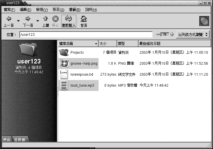 Nautilus 視窗中的資料夾，並以清單檢視顯示內容。