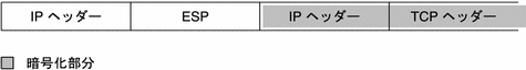 この図では、ESP ヘッダーが IP ヘッダーの後ろ、IP ヘッダーと TCP ヘッダーの前にあります。最後の 2 つのヘッダーは暗号化によって保護されます。