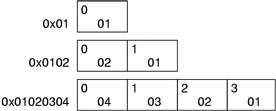 ELFDATA2LSB data encoding.