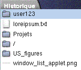 Onglet Historique avec des exemples d'emplacements de fichiers, de dossiers et d'URL.