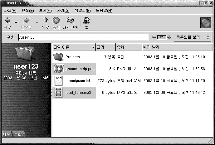 내용이 목록 보기에 표시된 노틸러스 창의 폴더