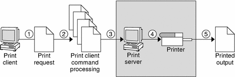 Illustration of a print server sending a print request in 5 steps. See the following description of these 5 steps.