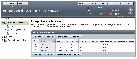 Screen capture of Storage System Summary page. 