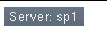 Server Icon