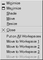Window Menu. Menu items: Minimize, Maximize, Shade, Move, Resize, Close, Put on All Workspaces, Move to workspace_name.