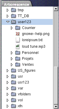 Cadres de fenêtres (Manuel d'utilisation du Bureau GNOME 2.0 pour  l'environnement d'exploitation Solaris)