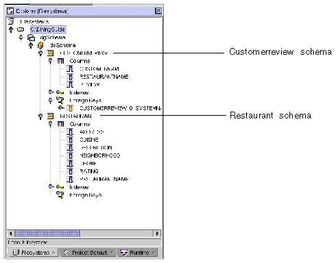 Portion of Explorer window showing expanded dgSchema node, dgSchema database node, the RESTAURANT and CUSTOMERREVIEW table nodes and subnodes.
