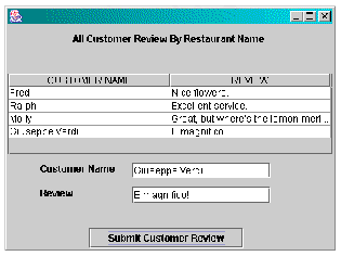 Previous Customer Review list Swing window showing New User record added. Input fields still have the entered text.