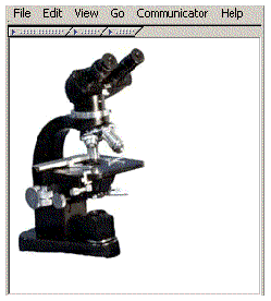 Screenshot showing a client display of a gif image (a microscope).