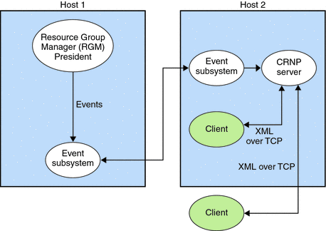 Flow diagram showing how the CRNP works