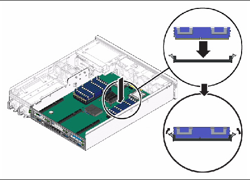 Figure showing how to install an FB-DIMM (Sun Netra X4250 server).