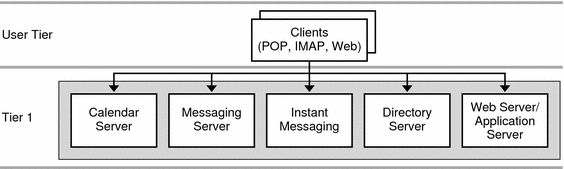 This diagram shows the single-tiered logical architecture for
one host.