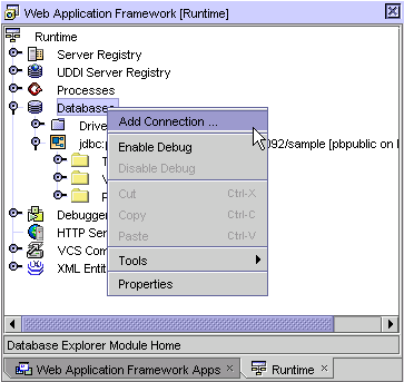This figure shows the Web Application Framework Explorer window (Runtime tab) with the Databases node expanded and the Add Connection option chosen.