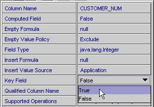 This figure shows the Key Field property, with the value True selected. 