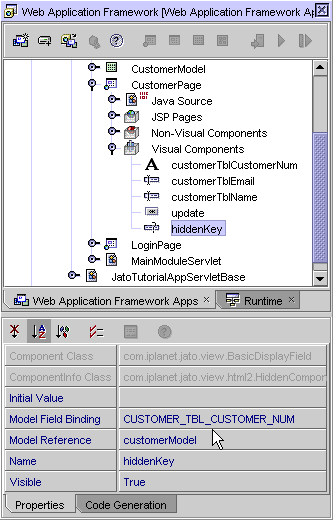 This figure shows the hiddenKey display field in the Explorer, with its property sheet. 