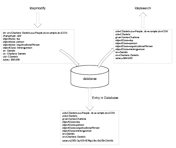 °-�Ź沽�Ǥϡ�°-�ϥǡ����١�����ǤϰŹ沽����ޤ�����ldapsearch �����ꤪ��� ldapmodify ������ˤ�ä���沽����ޤ�
