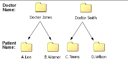 Figure displays an example of a top-level filesystem view.