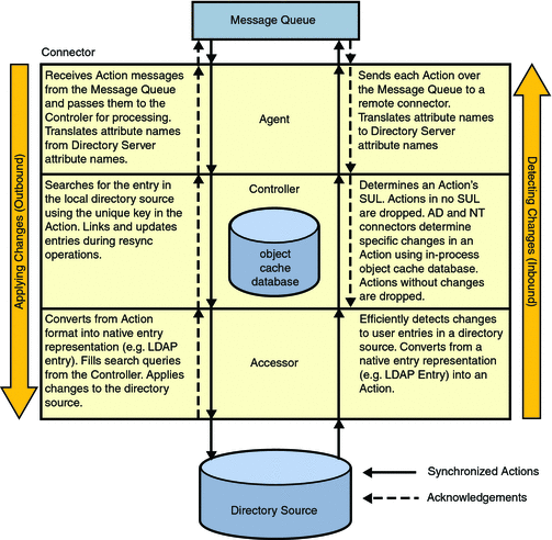 Action Paths