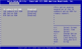 Figure showing BIOS PCI Option ROM Configuration menu.