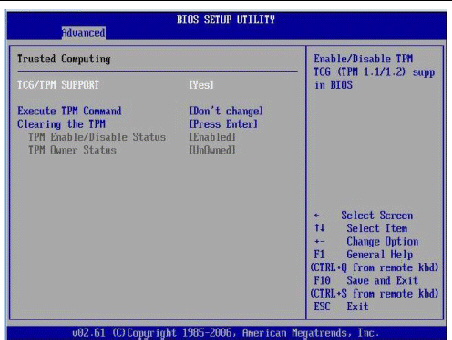 Graphic showing updated TPM enable/disabled setting.