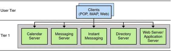This diagram shows the single-tiered logical architecture
for one host.