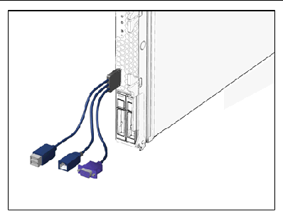 Figure showing dongle cable for server module connections.