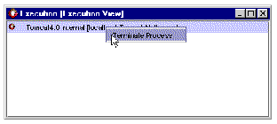 Execution window showing Terminate Process command in a menu in front of the Tomcat running process icon.