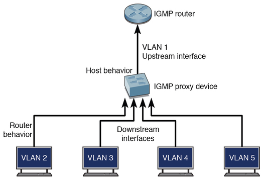 image:Figure showing an example topology using an IGMP proxy