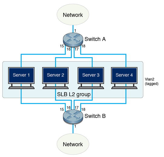 image:Figure showing a dual-switch configuration