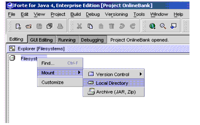 Figure shows how to mount a project from a local directory.
